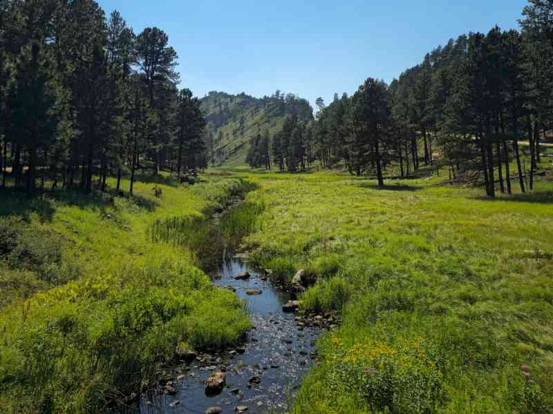 Spearfish Beginnings