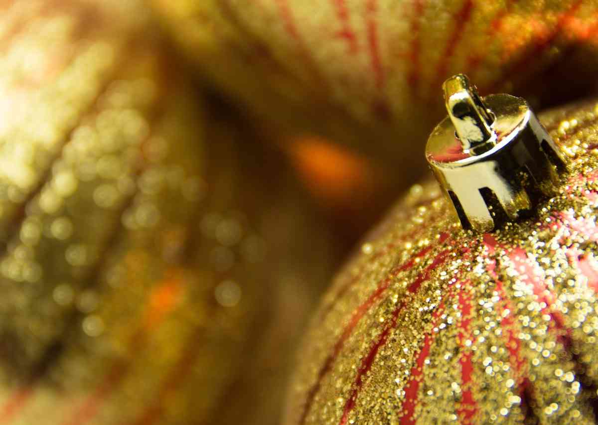 Festival of Trees