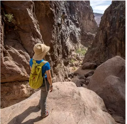 National Park Free Entrance Days