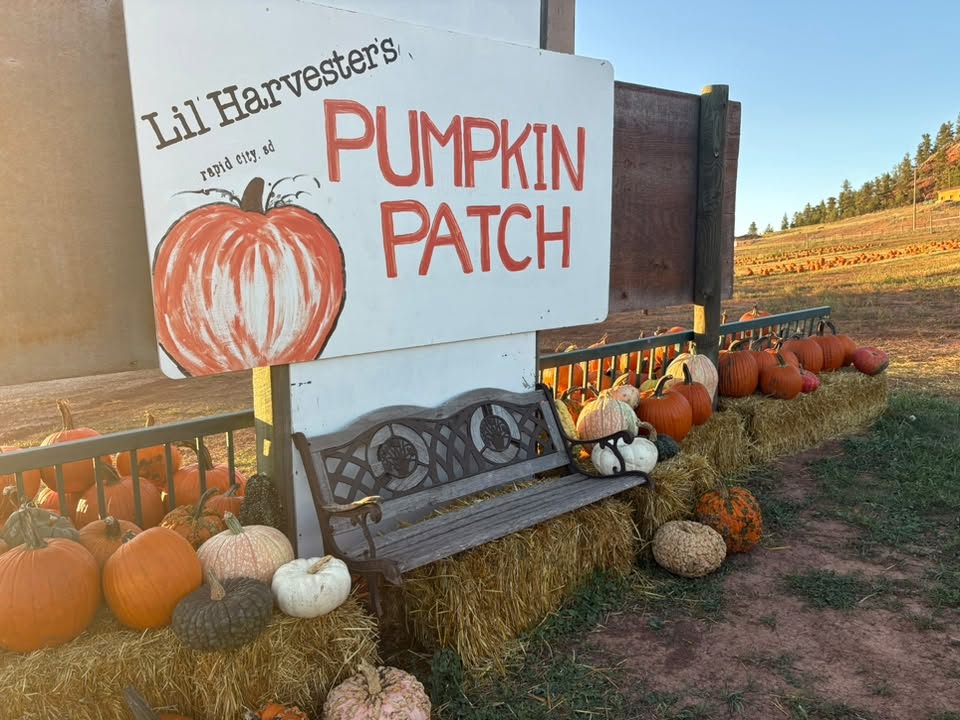 Lil' Harvester's Pumpkin Patch