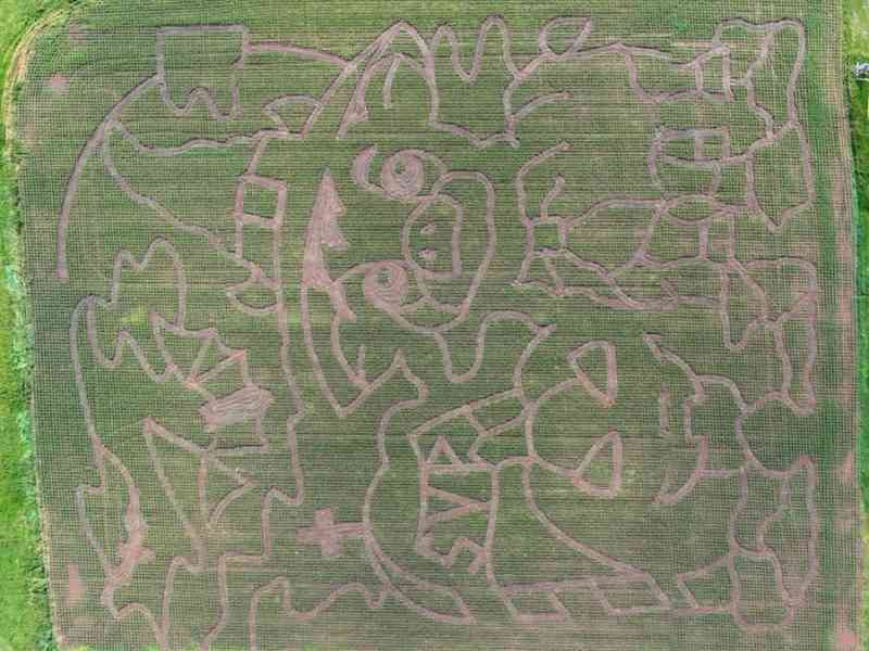Annual Spearfish Corn Maze & Pumpkin Patch