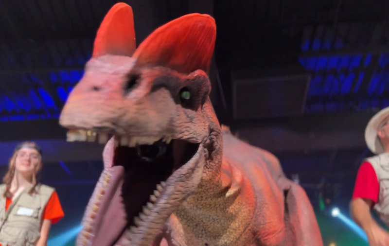 Dinosaura Dimensions: Expedition